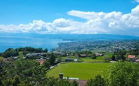 Lakeview Apartment-Lavaux
